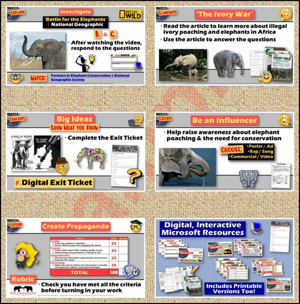 Ivory Wars in Africa 6-E Lesson | Elephant Poaching and Conservation | Microsoft
