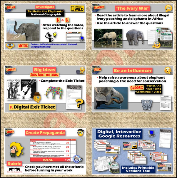 The Ivory War in Africa 6-E Lesson | Elephant Poaching and Conservation | Google