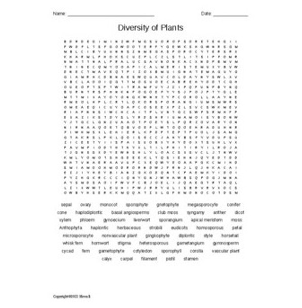 Diversity of Plants Word Search for an Introduction to Biology Course