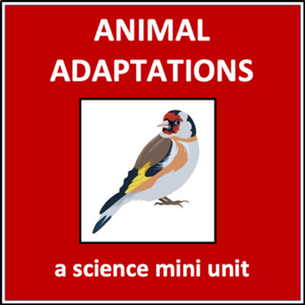 Animal Adaptations