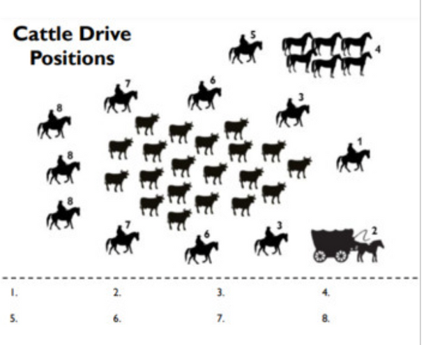 Texas Cowboys and Cattle Drives Notes