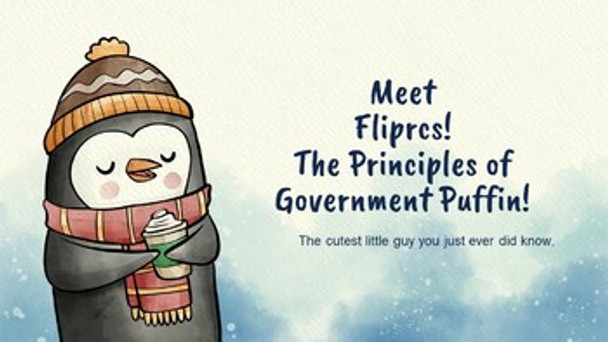 FLIPRCS- the 7 PRINCIPLES of Government Puffin- an engaging story and activity