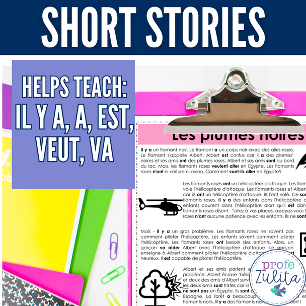French Story Unit 7 - il y a, a, est, veut, va Comprehensible Story & Activities