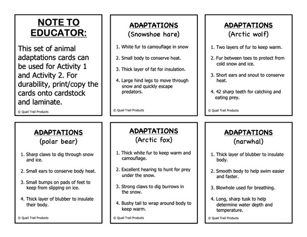 Animal Adaptations in the Arctic Habitat Worksheets and Activities