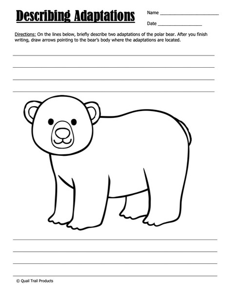 Animal Adaptations in the Arctic Habitat Worksheets and Activities