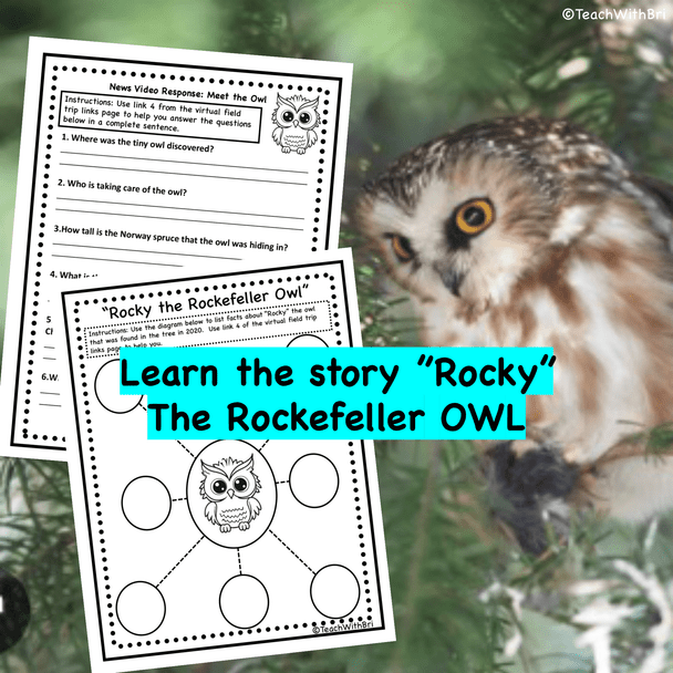 Rockefeller Christmas Tree Virtual Field Trip Digital and PDF copies