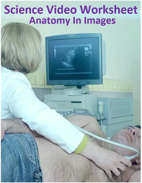 Intro to Anatomy In Imaging. Video sheet, Google Forms, Canvas, Easel & more. V3