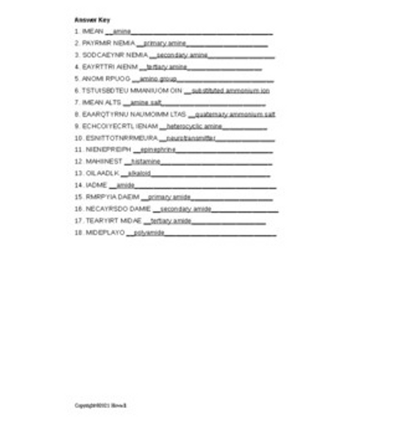 Amines and Amides Word Scramble for Organic Chemistry