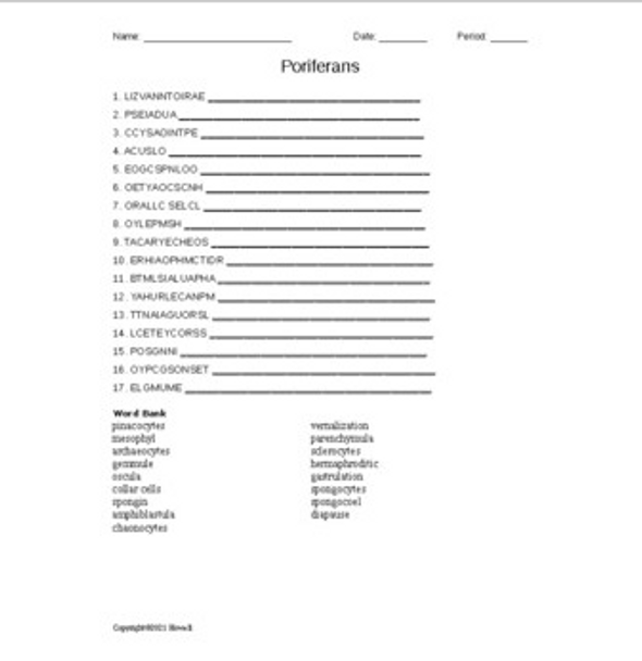 Poriferans Word Scramble for Invertebrate Biology