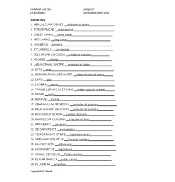 The Echinoderms Word Scramble for Invertebrate Biology