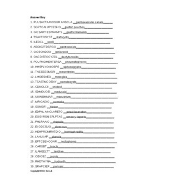 The Cnidarians Word Scramble for Invertebrate Biology