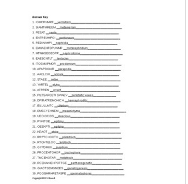 The Annelids Word Scramble for Invertebrate Biology