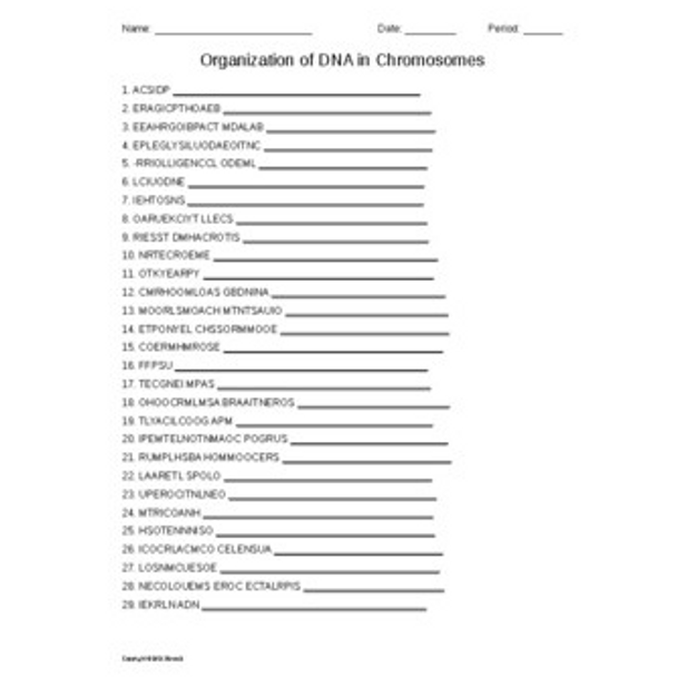 Chromosomal DNA Organization Word Scramble for Genetics