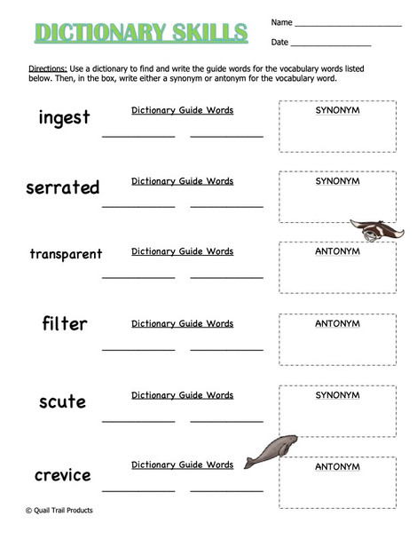 Animal Adaptations in the Reef Habitat Worksheets and Activities