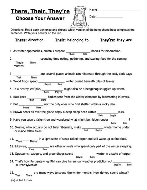 Winter Homophones Worksheets