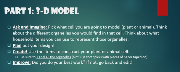 Understanding Cells - 3D Model and Analogy - STEM