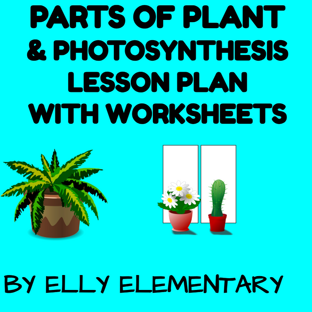 PARTS OF PLANT & PHOTOSYNTHESIS LESSON PLAN WITH WORKSHEETS: 3RD/4TH GRADES