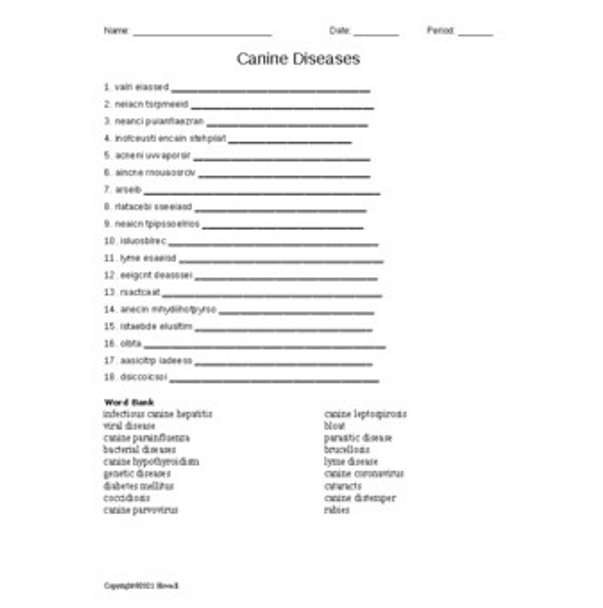 Canine Diseases Word Scramble