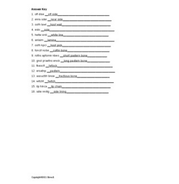 Horse Hoof Care Word Scramble