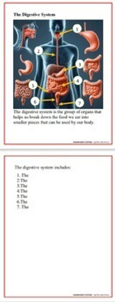HUMAN BODY SYSTEMS READING COMPREHENSION & NAME THE ORGANS & 45 QUES/ANSWERS