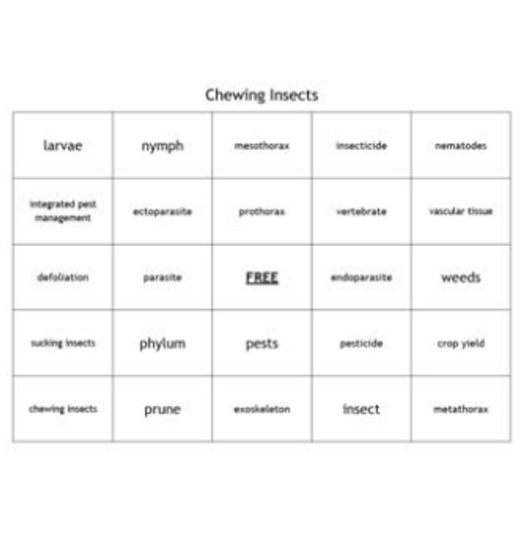 "Chewing Insects" Bingo set for a Plant Science Course