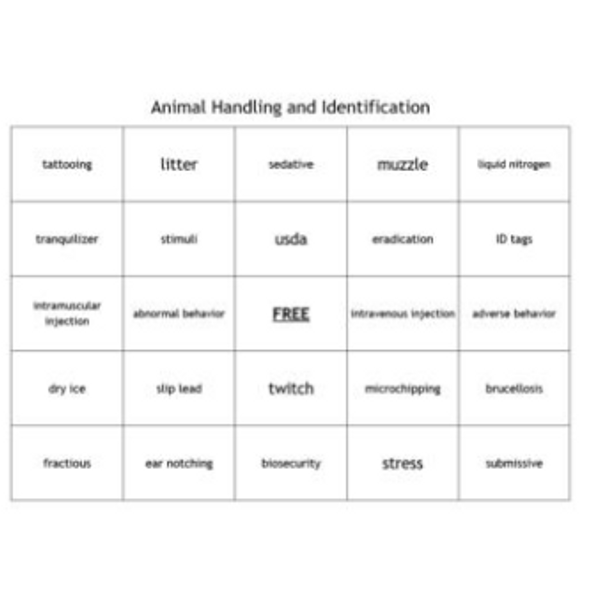 "Animal Handling and Identification" Bingo set for a Veterinary Science Course