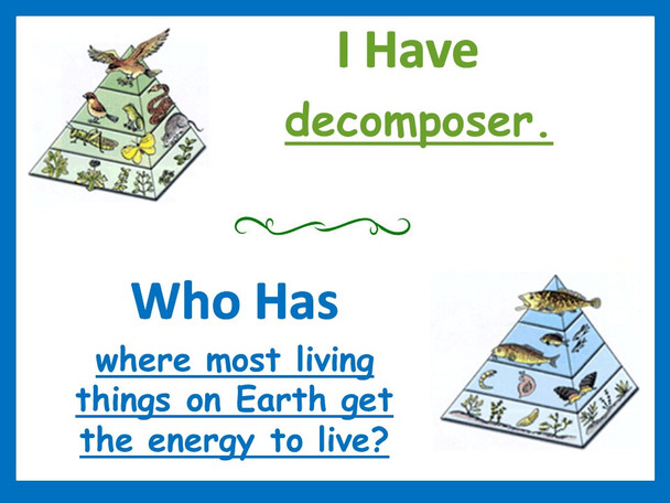 Food Energy in Ecosystems