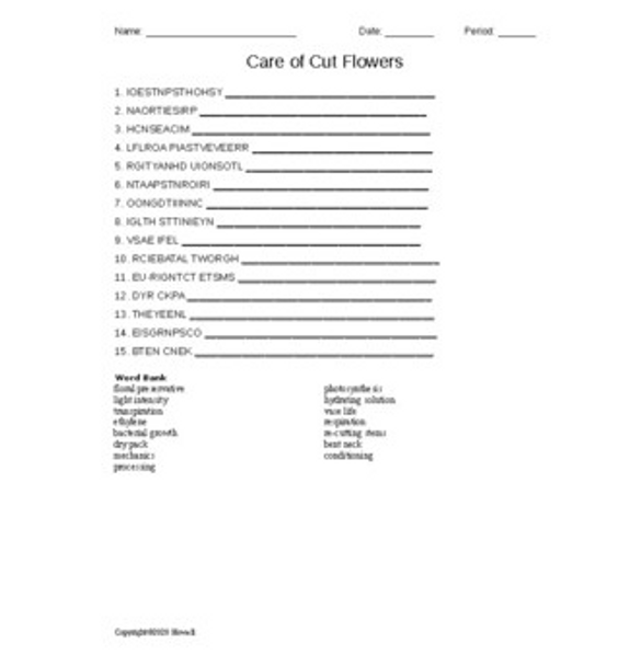 Care of Cut Flowers Word Scramble Care of Cut Flowers Word Scramble