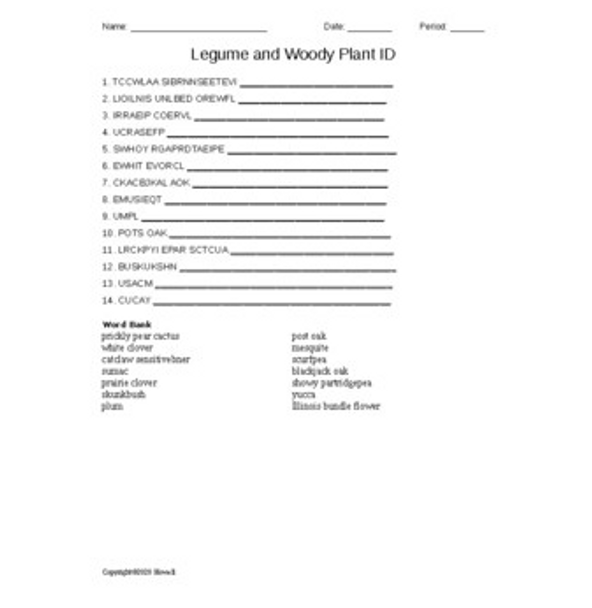 Legume and Woody Plants Word Scramble