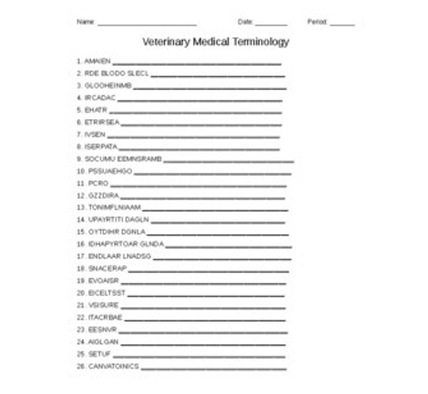 Veterinary Medical Terminology Word Scramble for Vet. Science Students