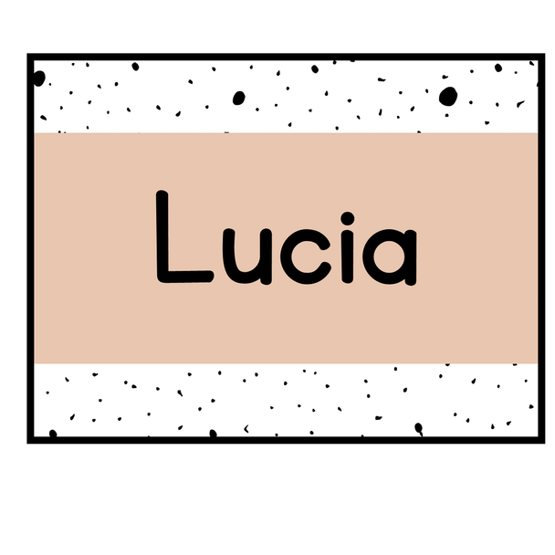 Printable Student Name Labels, Editable Classroom Labels, Name Tags, Labels