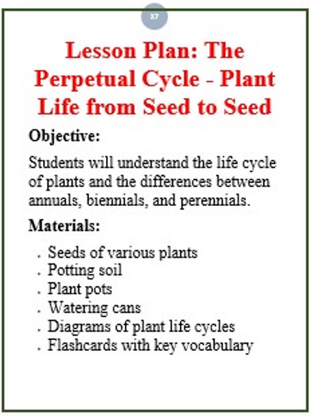 Life Cycle OF a Plant with Lesson plan and 12 Flash Cards | Realistic images.