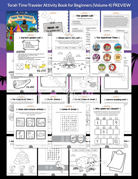 Torah Time Traveler Activity Book: Volume 4 (Exodus 32 - Deuteronomy 34) Torah Time Traveler Activity Book: Volume 4 (Exodus 32 - Deuteronomy 34)