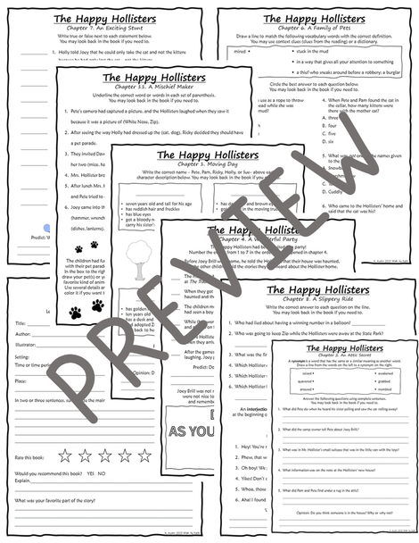 The Happy Hollisters Novel Study