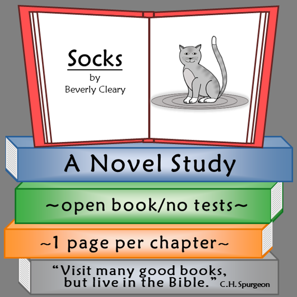 Socks Novel Study