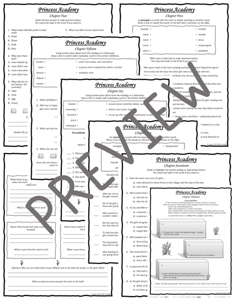 Sixth Grade Novel Studies Bundle