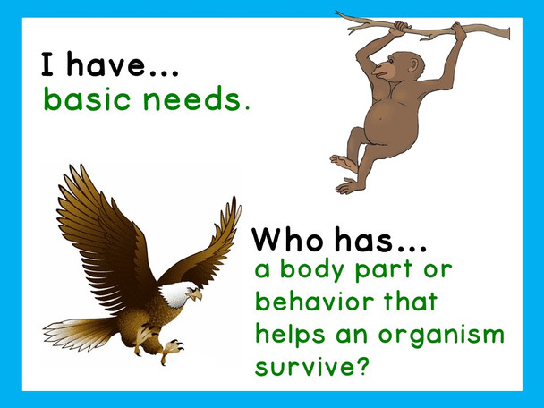 Physical and Behavioral Adaptations for Survival I Have Who Has