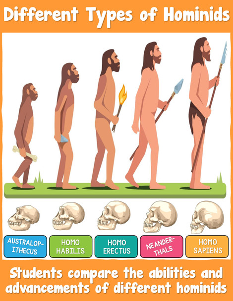 Different Types of Hominids 