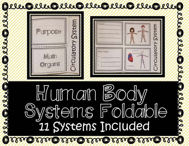 Human Body Systems - Interactive Notebook / Foldable