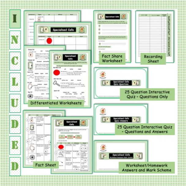 Specialized Cells - Review Activity