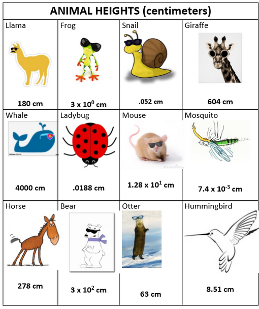 Scientific Notation Project: Animal Heights