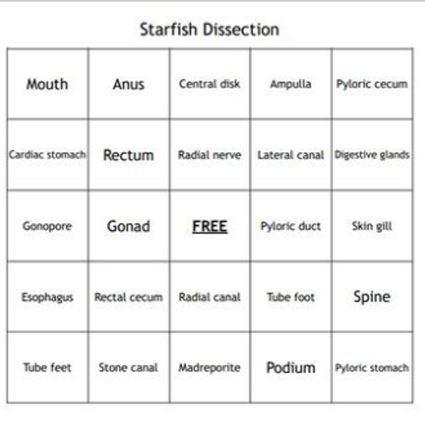 "Starfish Dissection" Bingo Game