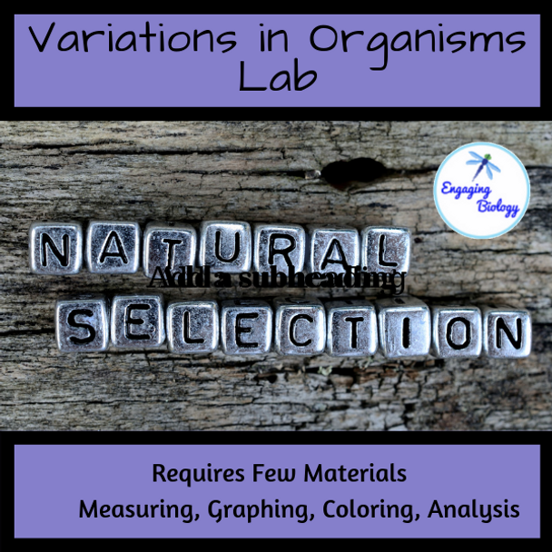 Variations in Organisms Lab
