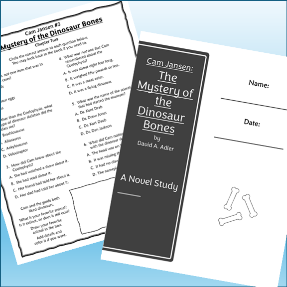 Cam Jansen Novel Study Bundle