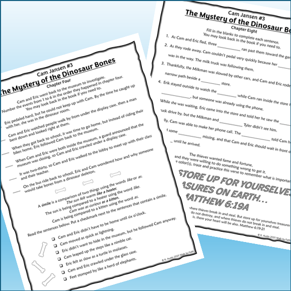 Cam Jansen Novel Study Bundle