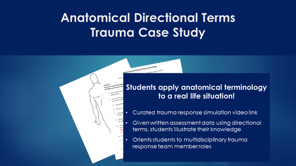 Anatomical Directional Terms BUNDLE - Word Search, Crossword Puzzle, Case Study