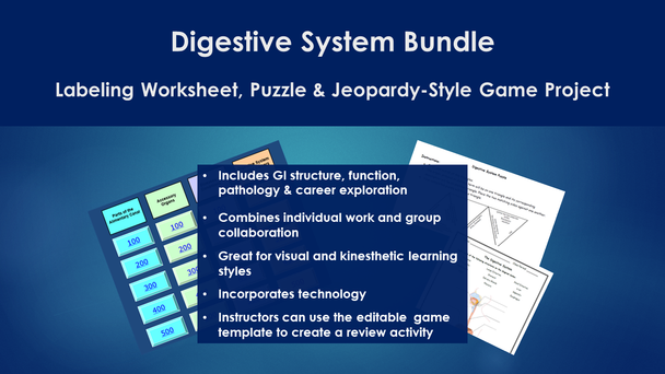 Digestive System Bundle - Labeling Wkst, Puzzle, and Jeopardy-Style Game Project
