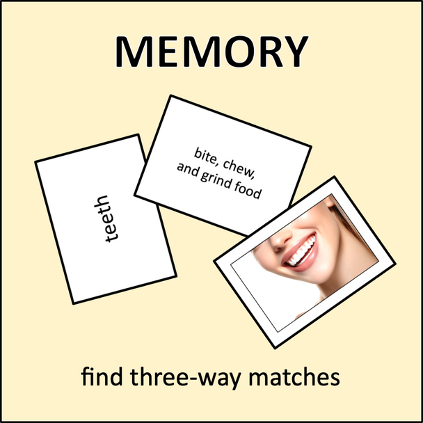 Digestive System Digestive System