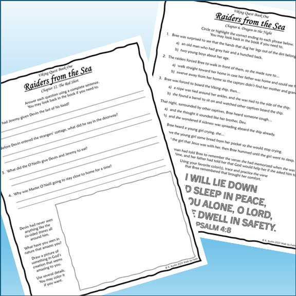 Raiders from the Sea Viking Quest Book One Novel Study