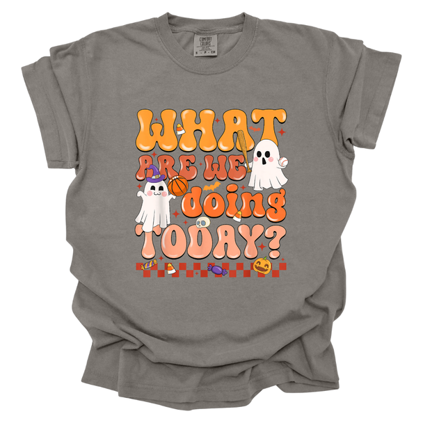 What Are We Doing Today? PE Halloween Theme Comfort Color T-Shirt